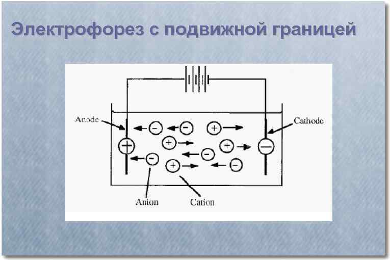 Электрофорез карта осу