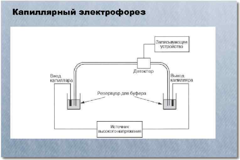 Схема капиллярного электрофореза