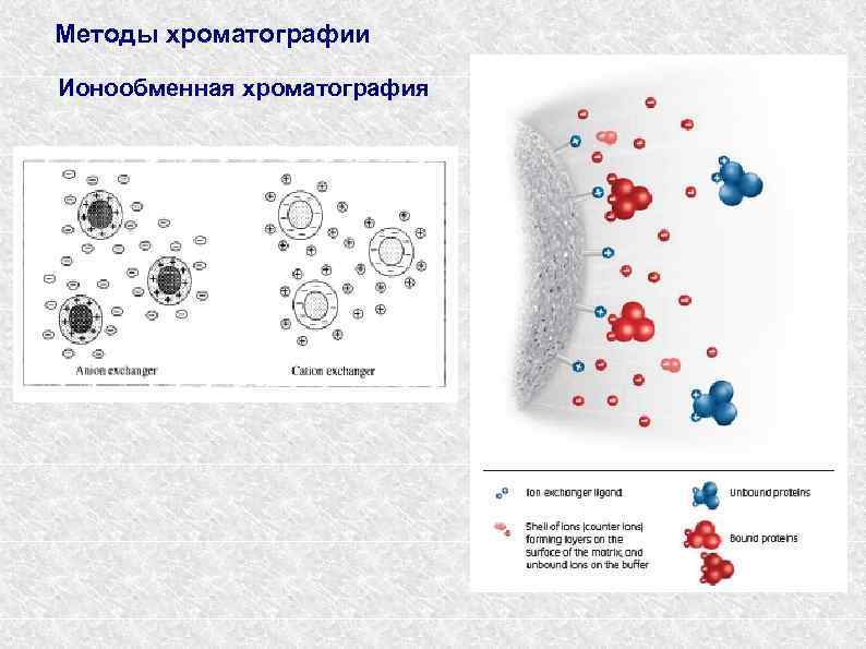 Ионообменная хроматография схема