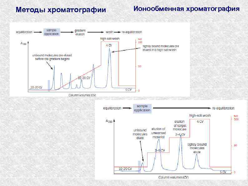 Методы хроматографии Ионообменная хроматография 