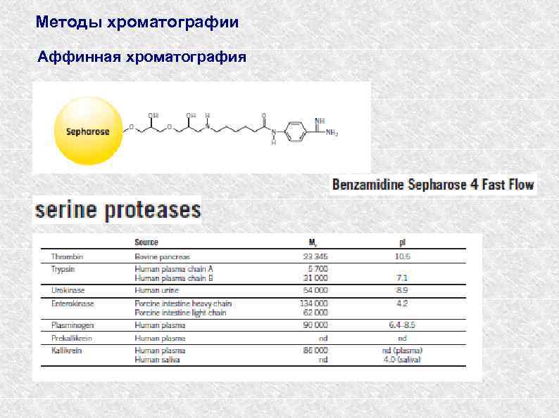 Методы хроматографии Аффинная хроматография 