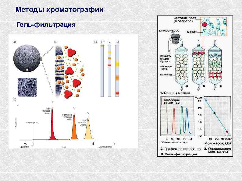 Методы хроматографии Гель-фильтрация 