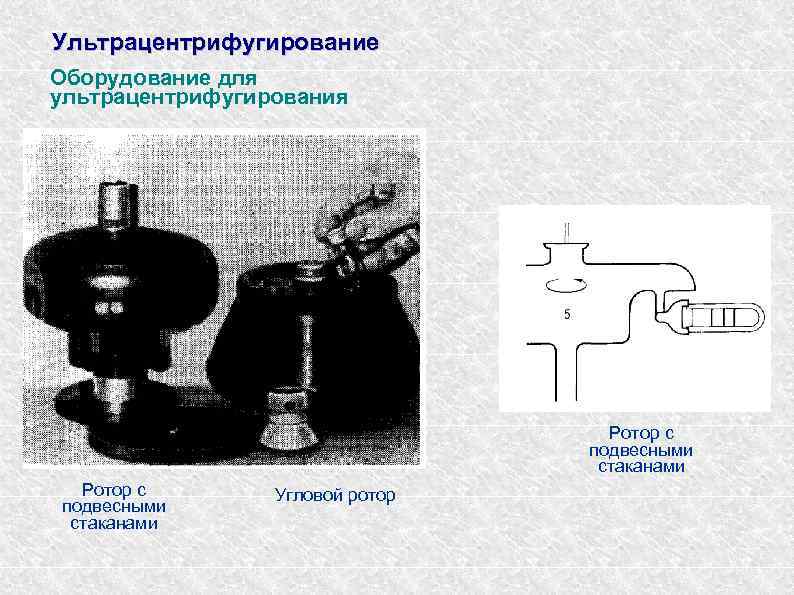 Ультрацентрифугирование Оборудование для ультрацентрифугирования Ротор с подвесными стаканами Угловой ротор 