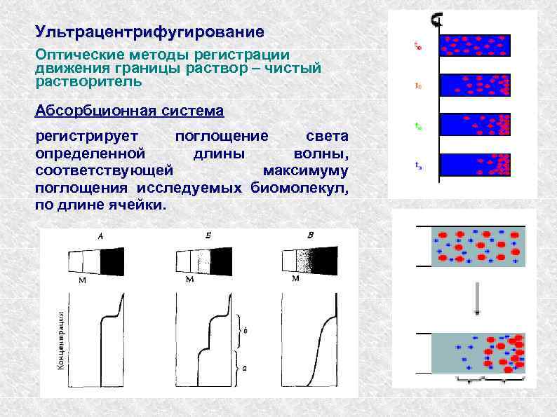 Ультрацентрифугирование Оптические методы регистрации движения границы раствор – чистый растворитель Абсорбционная система регистрирует поглощение