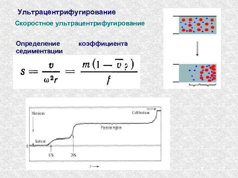 Ультрацентрифугирование Скоростное ультрацентрифугирование Определение седиментации коэффициента 