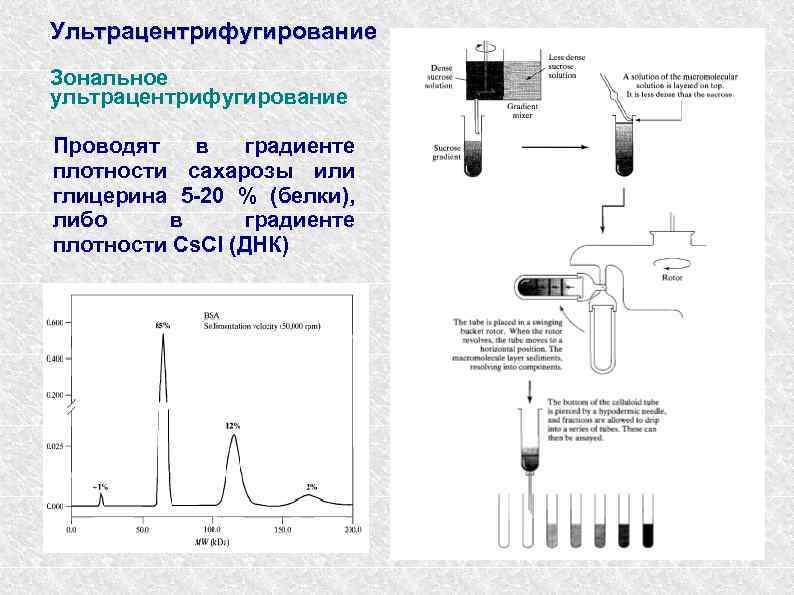 Ультрацентрифугирование Зональное ультрацентрифугирование Проводят в градиенте плотности сахарозы или глицерина 5 -20 % (белки),