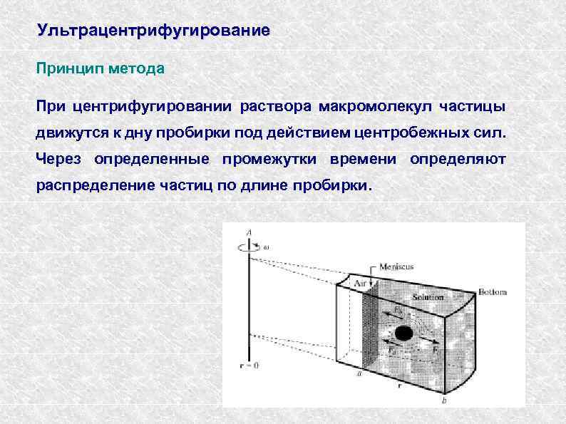 Ультрацентрифугирование Принцип метода При центрифугировании раствора макромолекул частицы движутся к дну пробирки под действием