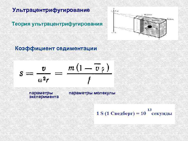 Ультрацентрифугирование Теория ультрацентрифугирования Коэффициент седиментации параметры эксперимента параметры молекулы 