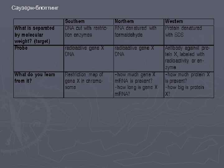 Саузерн-блоттинг 