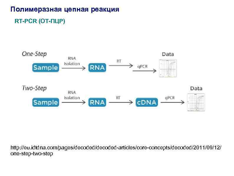 Полимеразная цепная реакция RT-PCR (ОТ-ПЦР) http: //eu. idtdna. com/pages/decoded-articles/core-concepts/decoded/2011/09/12/ one-step-two-step 