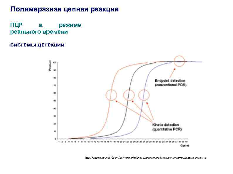 Пцр с детекцией в режиме реального времени