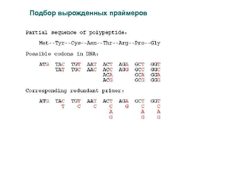 Подбор вырожденных праймеров 