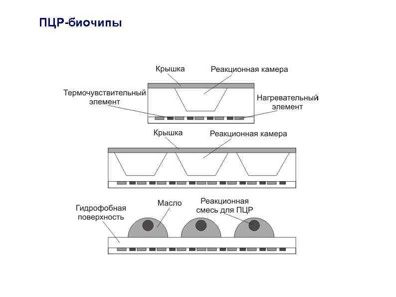 ПЦР-биочипы 