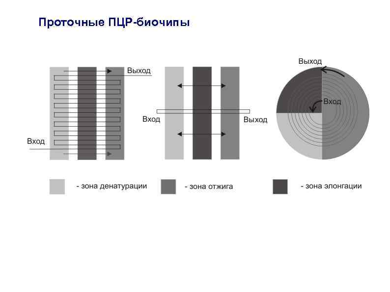 Детекция. Зоны ПЦР схемы. Ширина детекции. Детекция и идентификация. Зона идентификации, зона детекции.