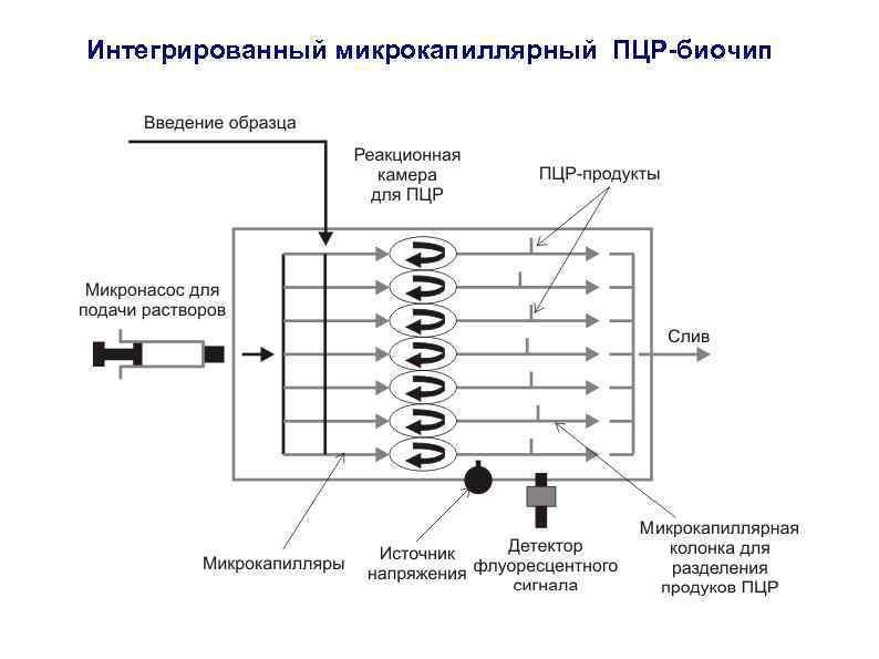 Интегрированный микрокапиллярный ПЦР-биочип 