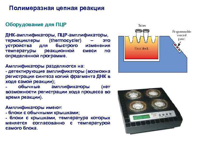 Применение полимеразной цепной реакции пцр презентация