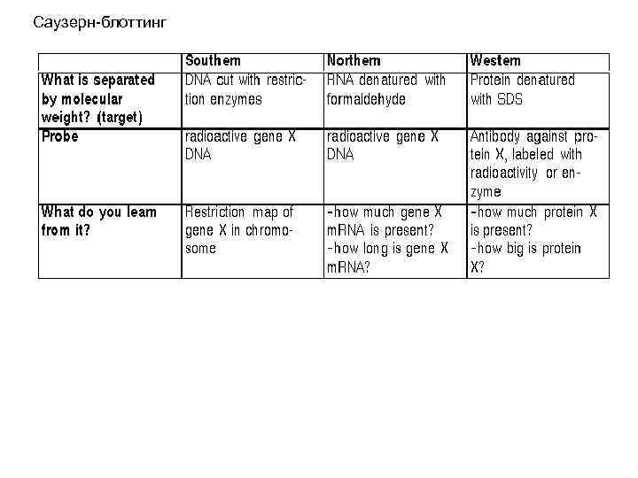 Саузерн-блоттинг 