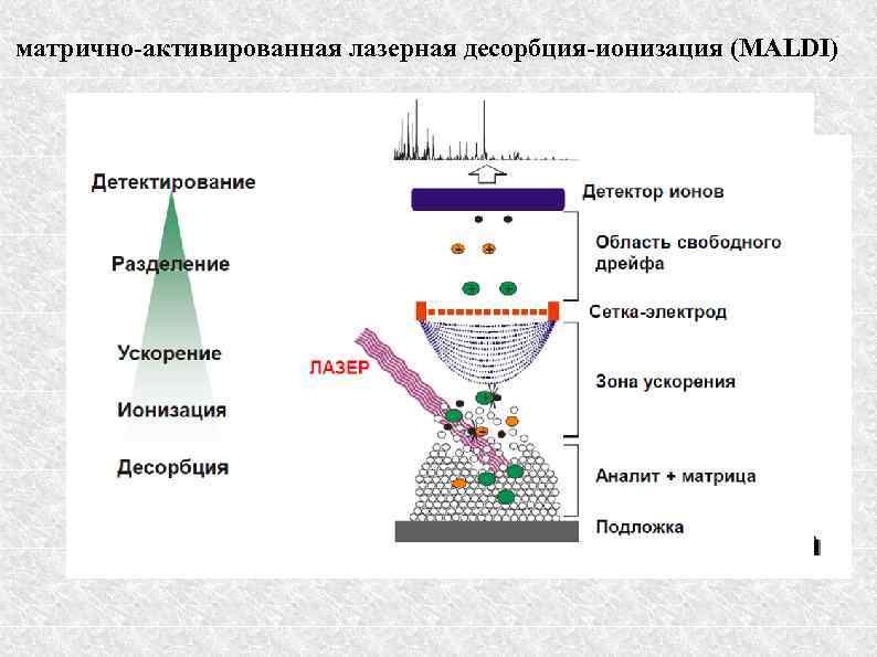 матрично-активированная лазерная десорбция-ионизация (MALDI) 