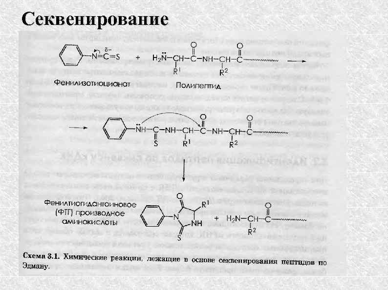 Секвенирование 