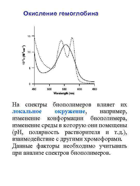 Окисление гемоглобина На спектры биополимеров влияет их локальное окружение, например, изменение конформации биополимера, изменение