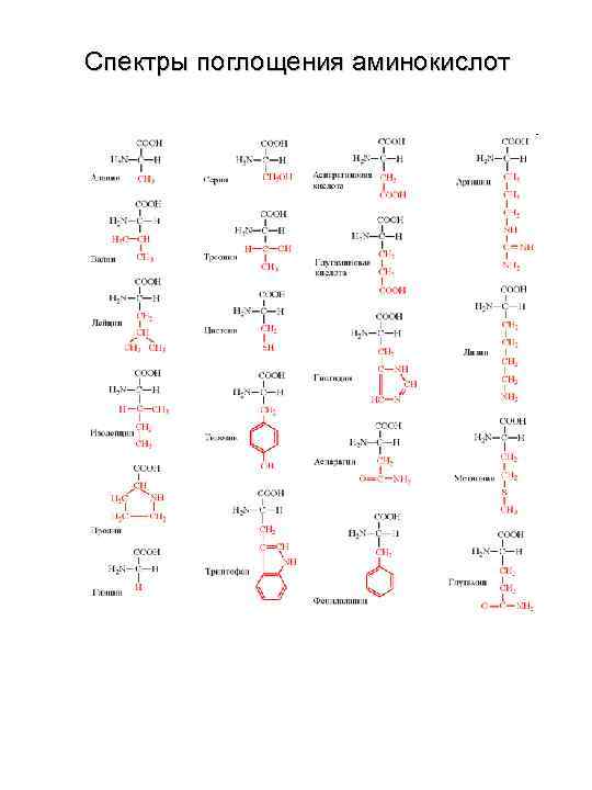 Спектры поглощения аминокислот 