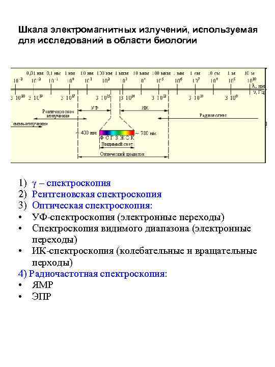 Шкала электромагнитных излучений, используемая для исследований в области биологии 1) 2) 3) • •