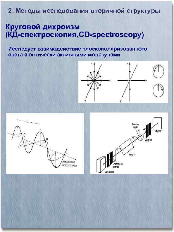 2. Методы исследования вторичной структуры Круговой дихроизм (КД-спектроскопия, CD-spectroscopy) Исследует взаимодействие плоскополяризованного света с