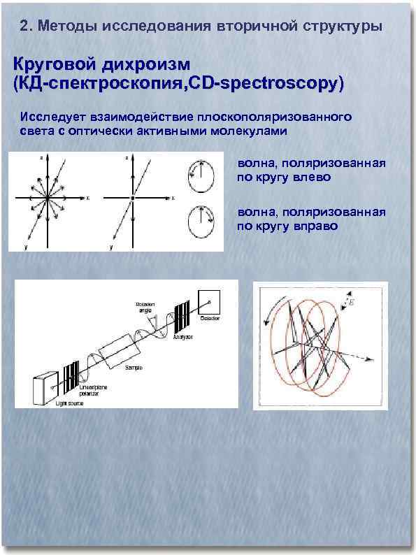 2. Методы исследования вторичной структуры Круговой дихроизм (КД-спектроскопия, CD-spectroscopy) Исследует взаимодействие плоскополяризованного света с