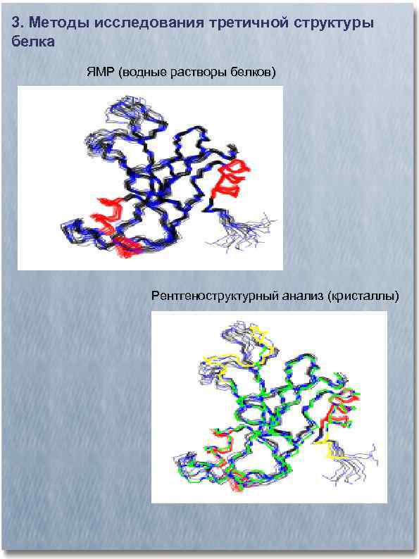 3. Методы исследования третичной структуры белка ЯМР (водные растворы белков) Рентгеноструктурный анализ (кристаллы) 