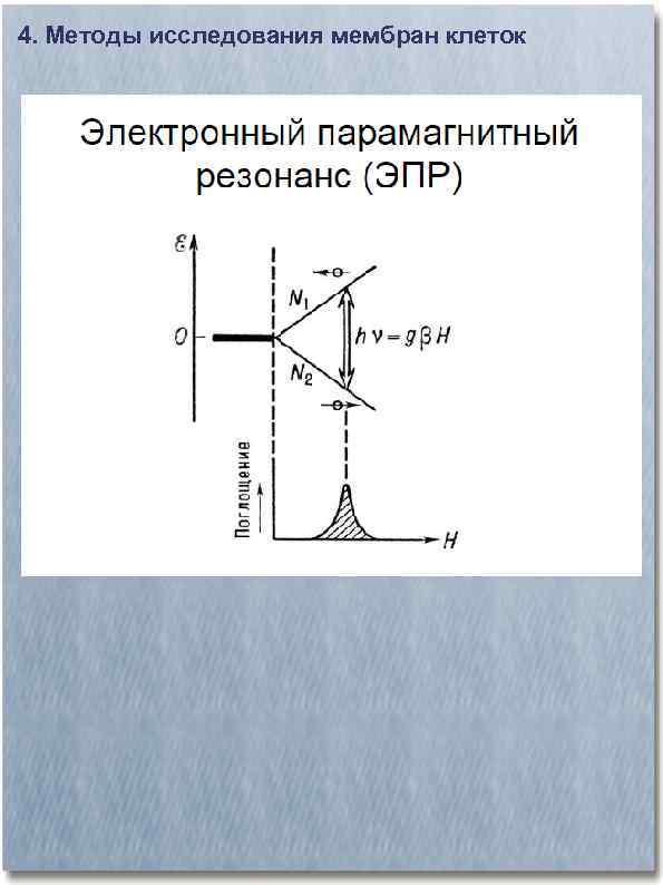 4. Методы исследования мембран клеток 