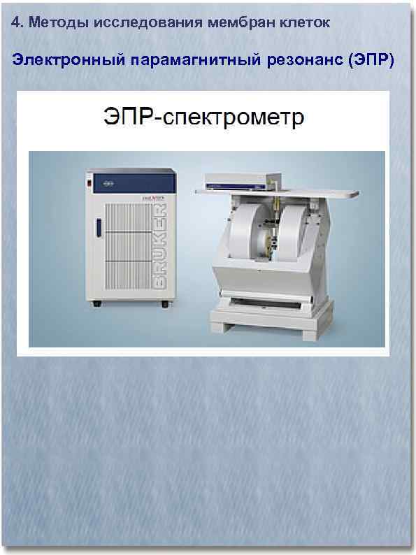 4. Методы исследования мембран клеток Электронный парамагнитный резонанс (ЭПР) 
