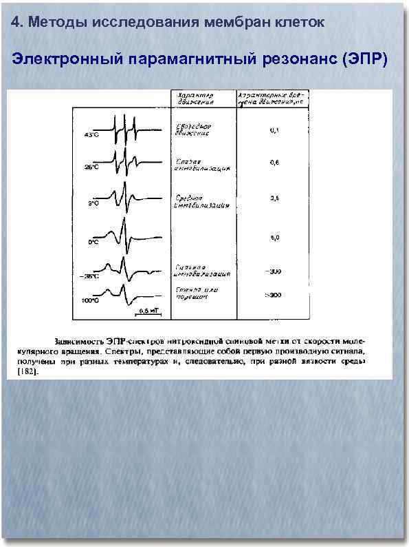 4. Методы исследования мембран клеток Электронный парамагнитный резонанс (ЭПР) 
