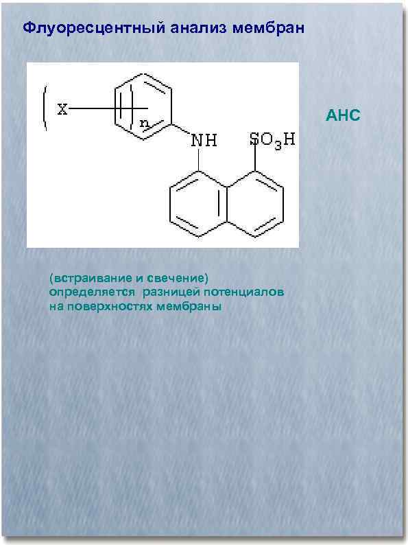 Флуоресцентный анализ мембран АНС (встраивание и свечение) определяется разницей потенциалов на поверхностях мембраны 