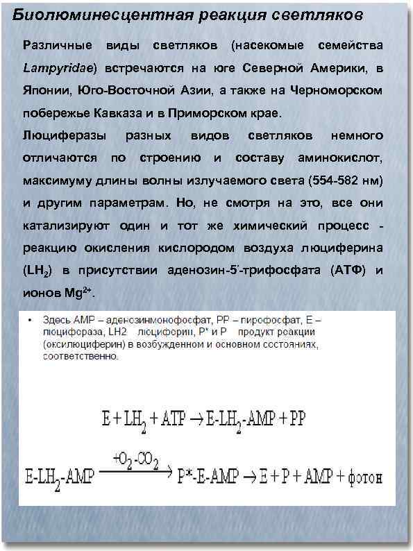 Биолюминесцентная реакция светляков Различные виды светляков (насекомые семейства Lampyridae) встречаются на юге Северной Америки,