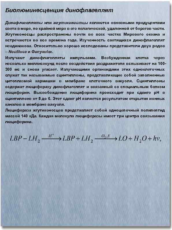 Биолюминесценция динофлагеллят Динофлагелляты или жгутиконостцы являются основными продуцентами света в море, по крайней мере