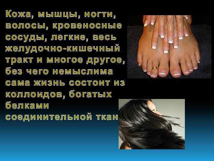 Кожа, мышцы, ногти, волосы, кровеносные сосуды, легкие, весь желудочно-кишечный тракт и многое другое, без