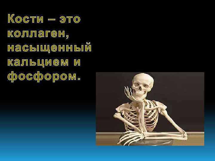 Кости – это коллаген, насыщенный кальцием и фосфором. 