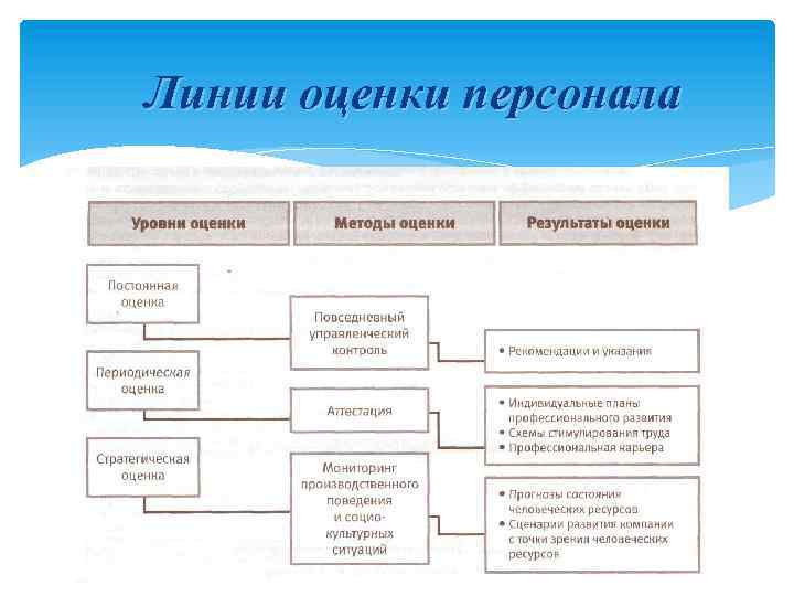 Линии оценки персонала 