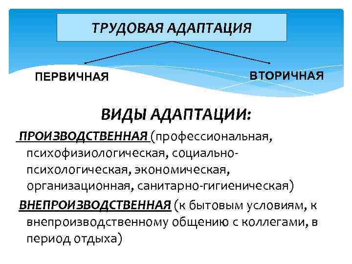 Индивидуальная адаптация. Первичная и вторичная адаптация. Понятие трудовой адаптации. Виды трудовой адаптации персонала. Виды адаптации первичная и вторичная.