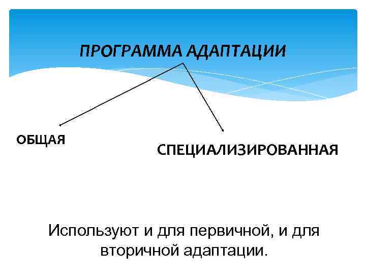 ПРОГРАММА АДАПТАЦИИ ОБЩАЯ СПЕЦИАЛИЗИРОВАННАЯ Используют и для первичной, и для вторичной адаптации. 