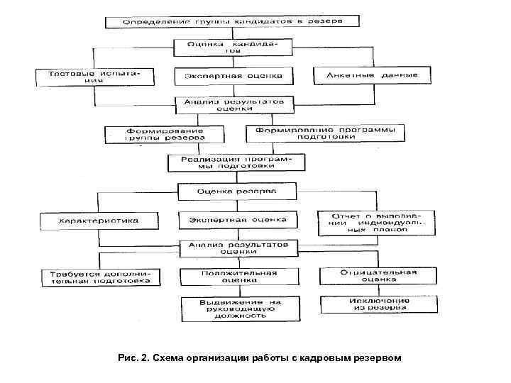 Рис. 2. Схема организации работы с кадровым резервом 