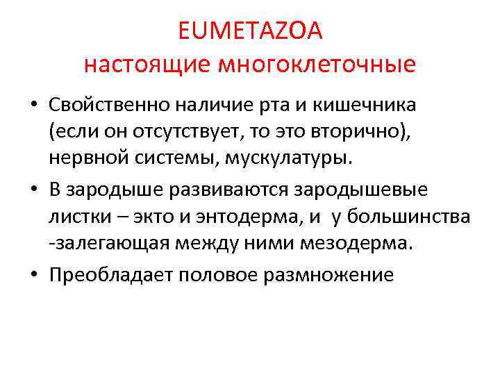 EUMETAZOA настоящие многоклеточные • Свойственно наличие рта и кишечника (если он отсутствует, то это