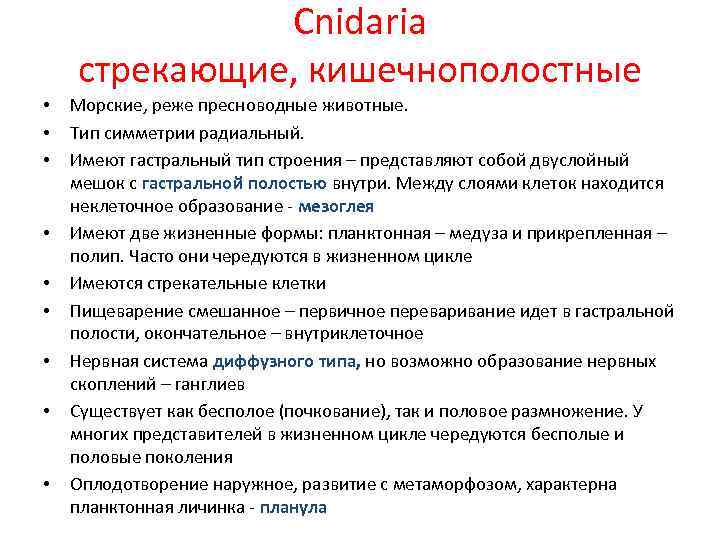 Cnidaria стрекающие, кишечнополостные • • • Морские, реже пресноводные животные. Тип симметрии радиальный. Имеют