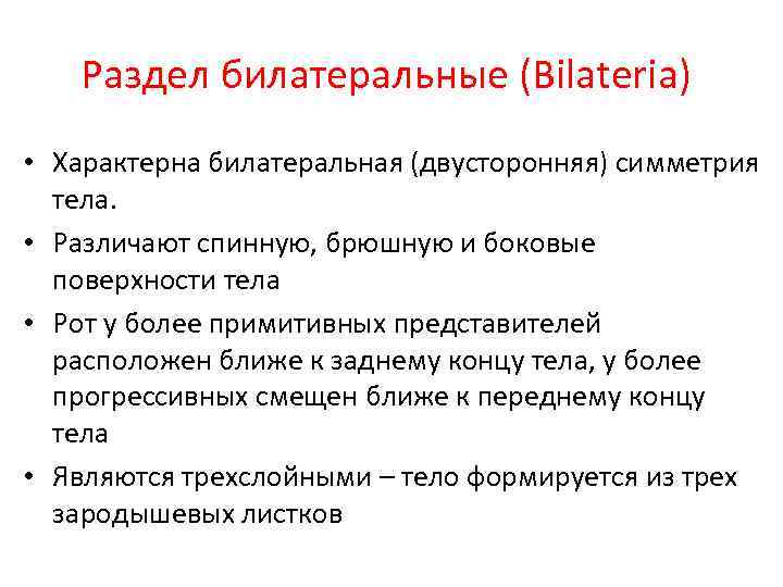Раздел билатеральные (Bilateria) • Характерна билатеральная (двусторонняя) симметрия тела. • Различают спинную, брюшную и