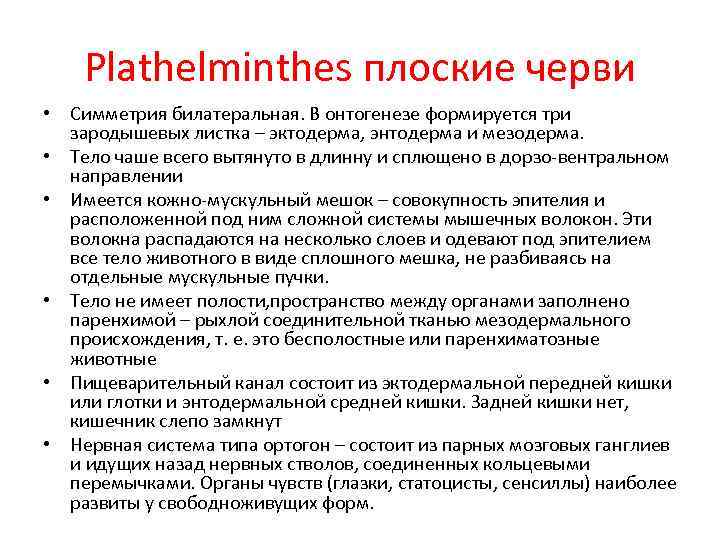 Plathelminthes плоские черви • Симметрия билатеральная. В онтогенезе формируется три зародышевых листка – эктодерма,
