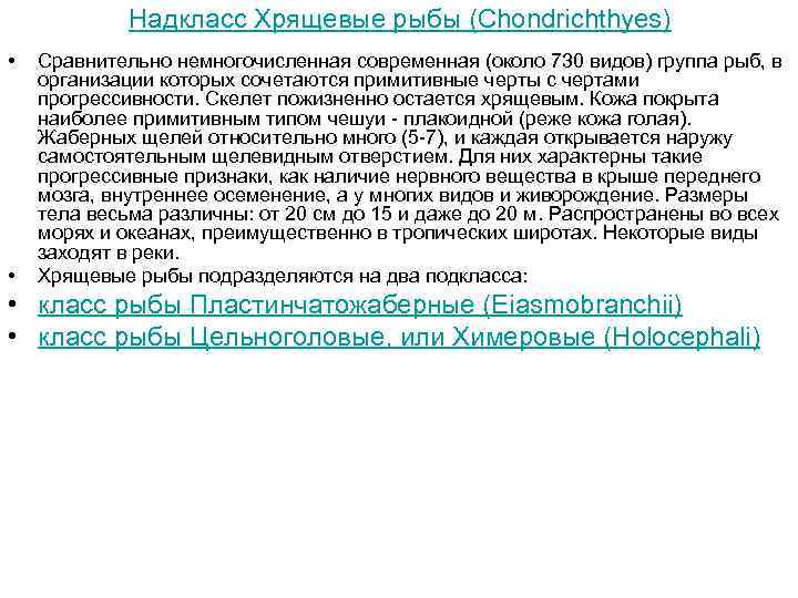 Надкласс Хрящевые рыбы (Chondrichthyes) • • Сравнительно немногочисленная современная (около 730 видов) группа рыб,