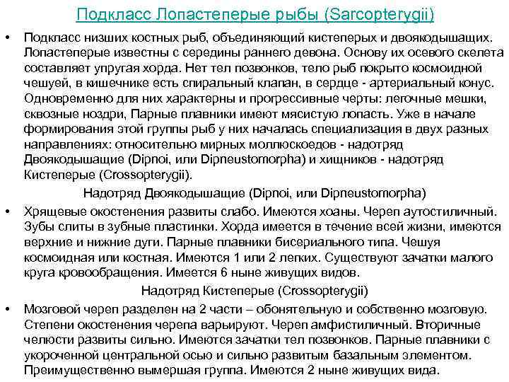 Подкласс Лопастеперые рыбы (Sarcopterygii) • • • Подкласс низших костных рыб, объединяющий кистеперых и