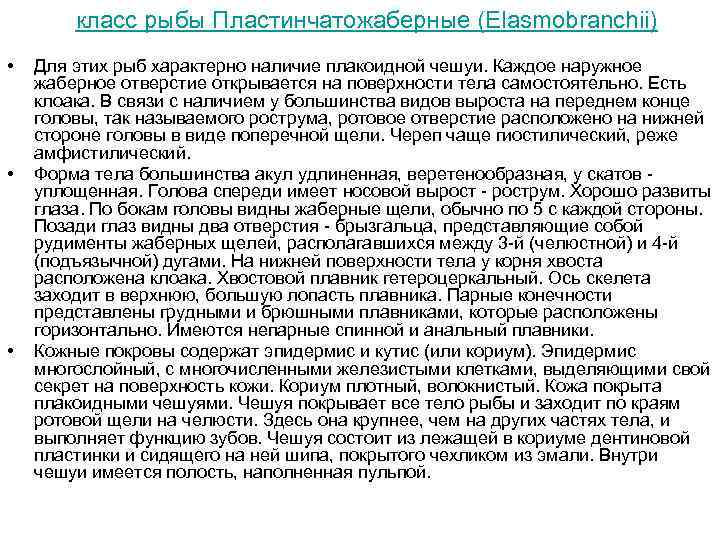 класс рыбы Пластинчатожаберные (Elasmobranchii) • • • Для этих рыб характерно наличие плакоидной чешуи.