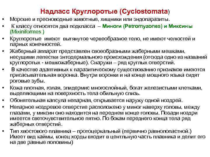 Надласс Круглоротые (Cyclostomata) • • • Морские и пресноводные животные, хищники или эндопаразиты. К