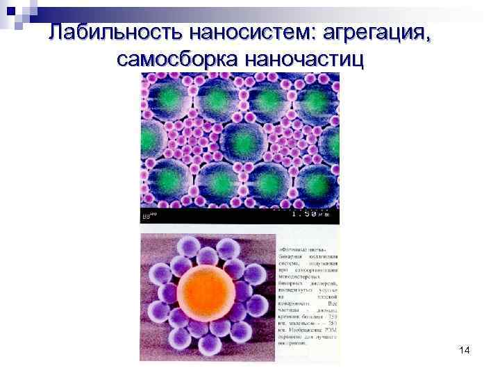 Лабильность наносистем: агрегация, самосборка наночастиц 14 